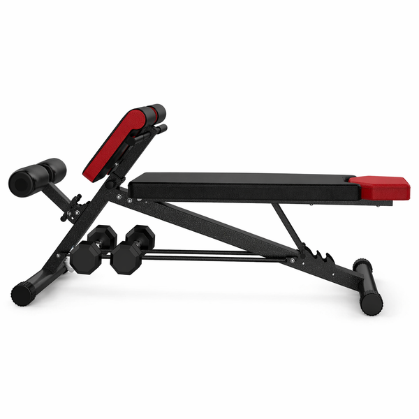 Multi-Functional Adjustable Weight Bench